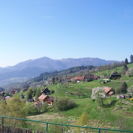 Les Lupins Bed & Breakfast Geishouse Eksteriør bilde