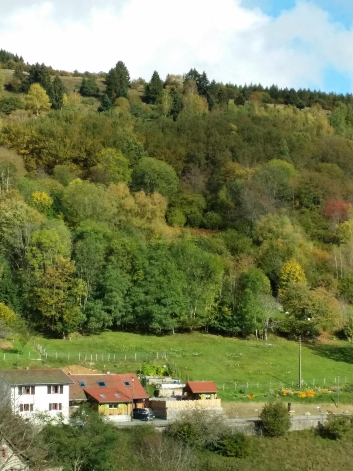 Les Lupins Bed & Breakfast Geishouse Eksteriør bilde